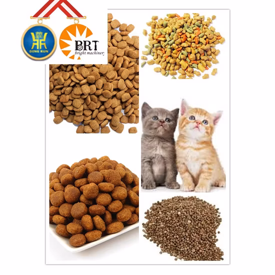 Linea di estrusione di produzione di prodotti alimentari per la produzione di pellet di cibo per pesci galleggiante per animali domestici di fabbrica in Cina