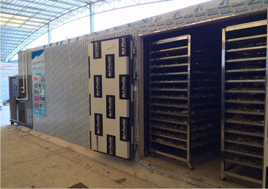 Dispositivo per l'asciugatura ad aria calda di alimenti, pesce, frutta, verdura, essiccatore